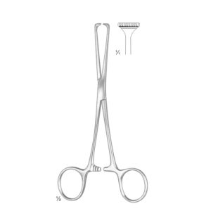 Allis Adair Tissue and Organ Holding Forceps