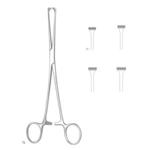 Allis Tissue and Organ Holding Forceps