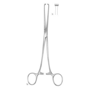 Allis Tissue and Organ Holding Forceps