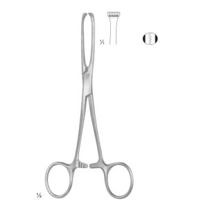 Allis Tissue and Organ Holding Forceps