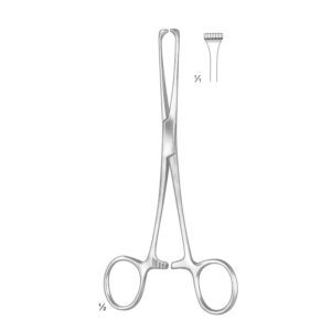 Boys Allis Tissue and Organ Holding Forceps