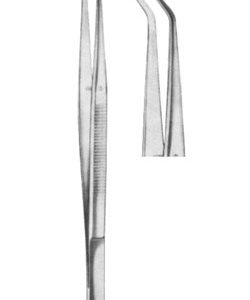 Dental Tweezer