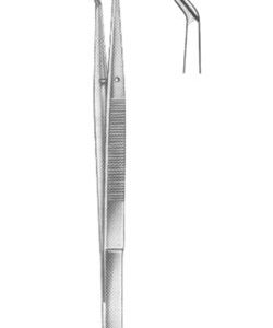 Dental Tweezer