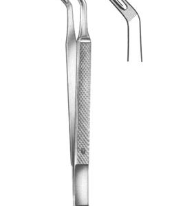 Dental Tweezer