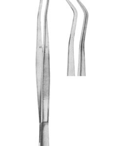 Dental Tweezer