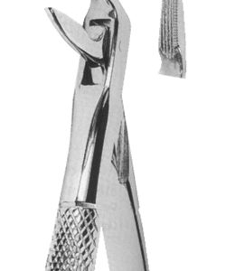 Extracting Forceps English Pattern