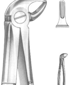 Extracting Forceps English Pattern
