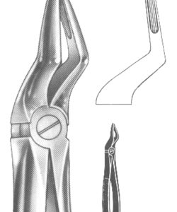Extracting Forceps English Pattern