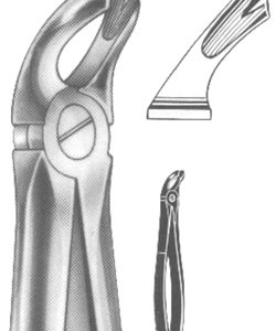 Extracting Forceps English Pattern