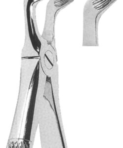 Extracting Forceps English Pattern
