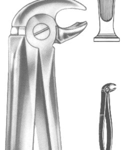 Extracting Forceps English Pattern