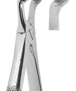 Extracting Forceps English Pattern