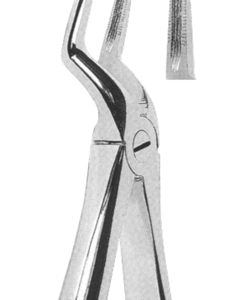 Extracting Forceps English Pattern