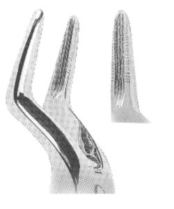 Extracting Forceps With Anatomically Shaped Handle