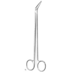 Potts De Martel Vascular