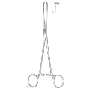 Thomas Allis Tissue and Organ Holding Forceps